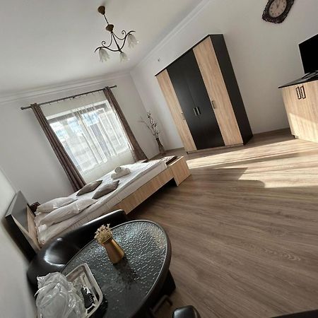 Vila Lion Sebeş Exteriér fotografie