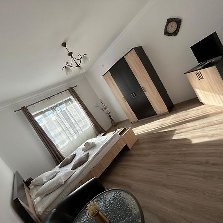 Vila Lion Sebeş Exteriér fotografie