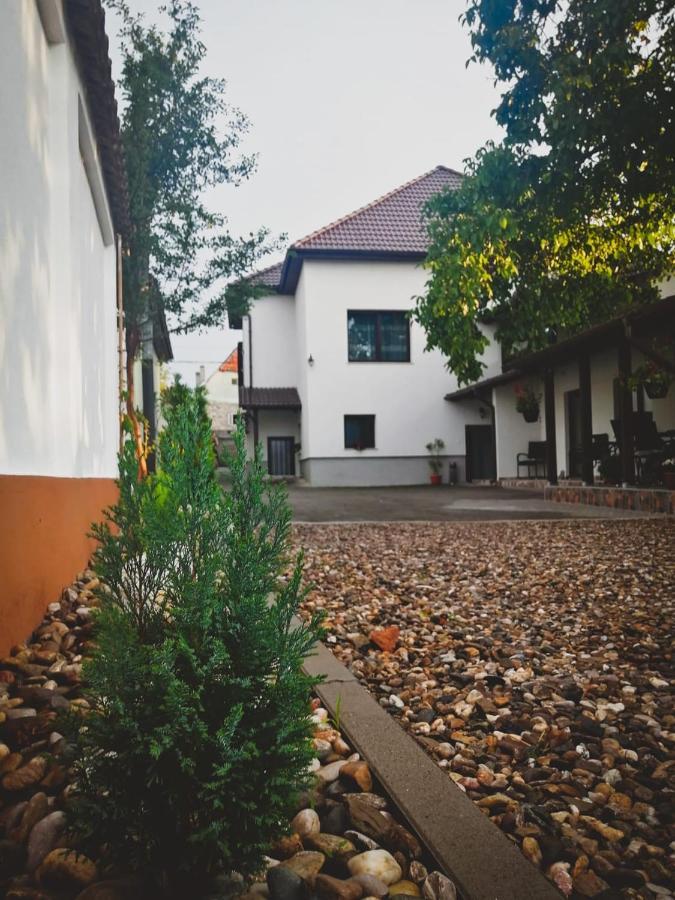 Vila Lion Sebeş Exteriér fotografie