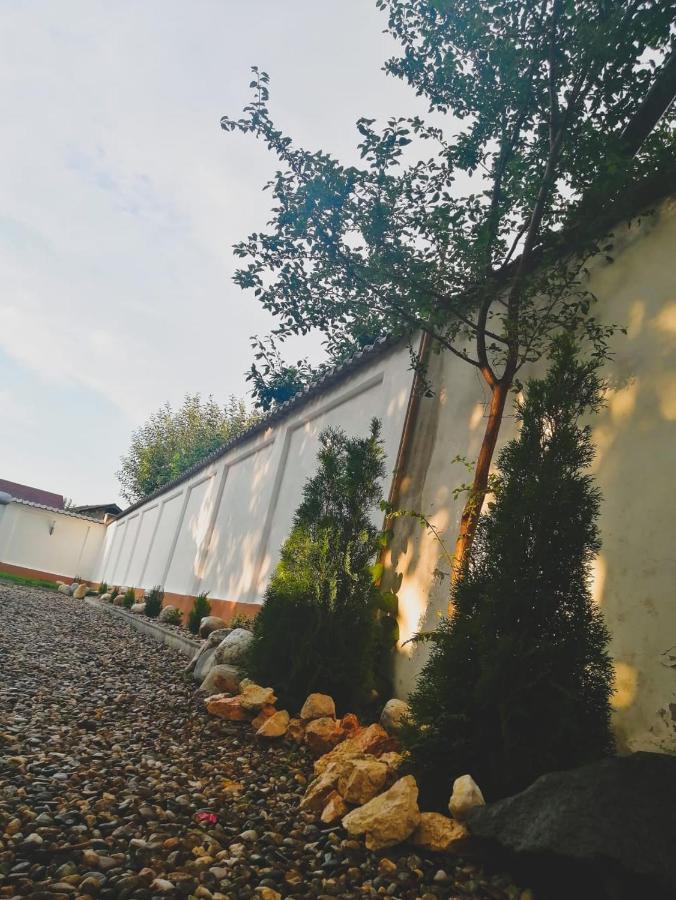 Vila Lion Sebeş Exteriér fotografie