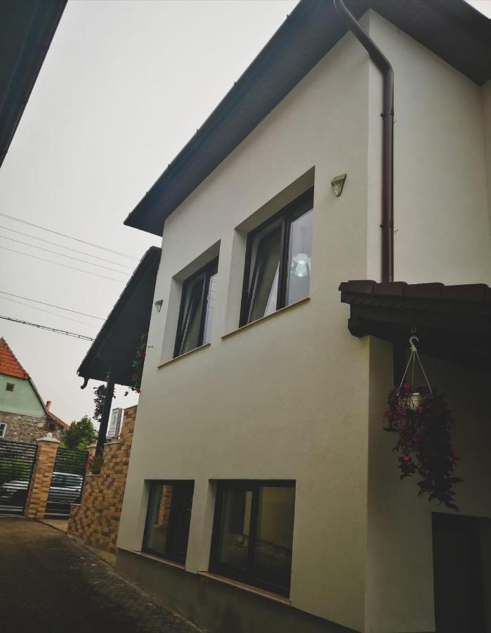 Vila Lion Sebeş Exteriér fotografie