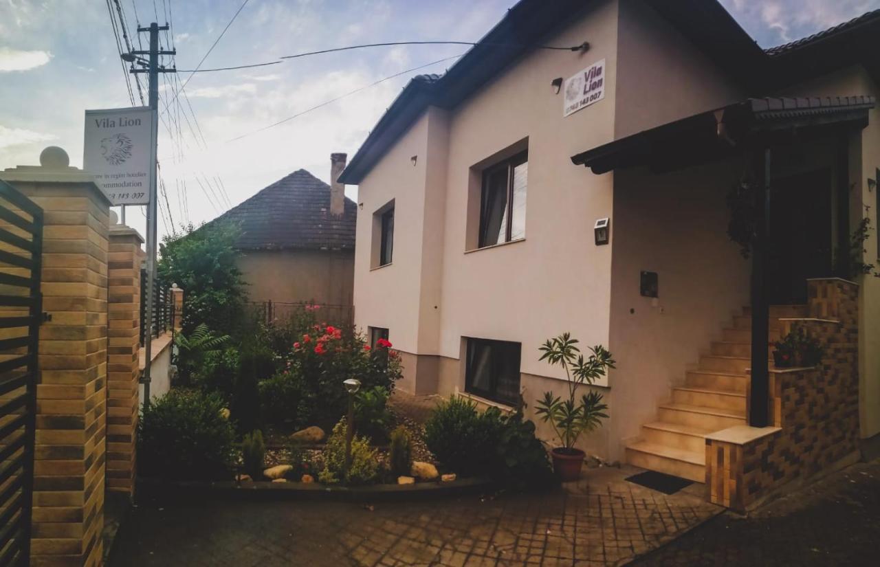 Vila Lion Sebeş Exteriér fotografie