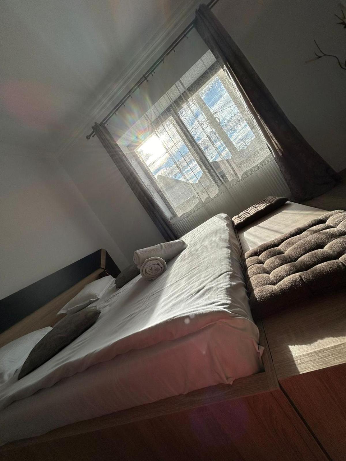 Vila Lion Sebeş Exteriér fotografie