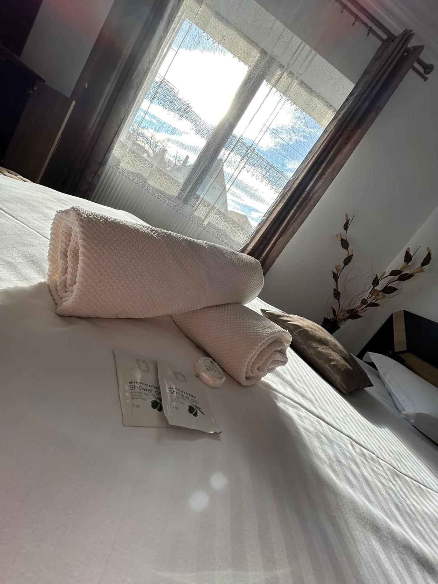 Vila Lion Sebeş Exteriér fotografie