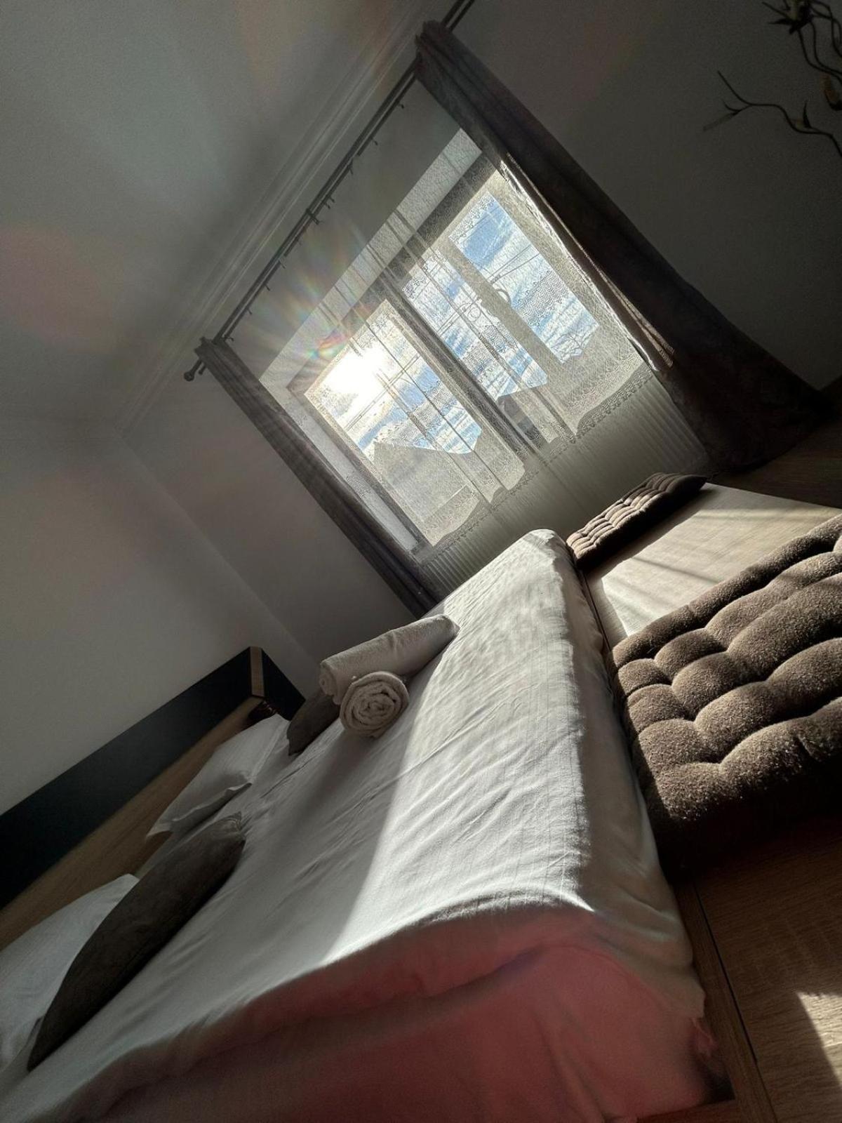 Vila Lion Sebeş Exteriér fotografie