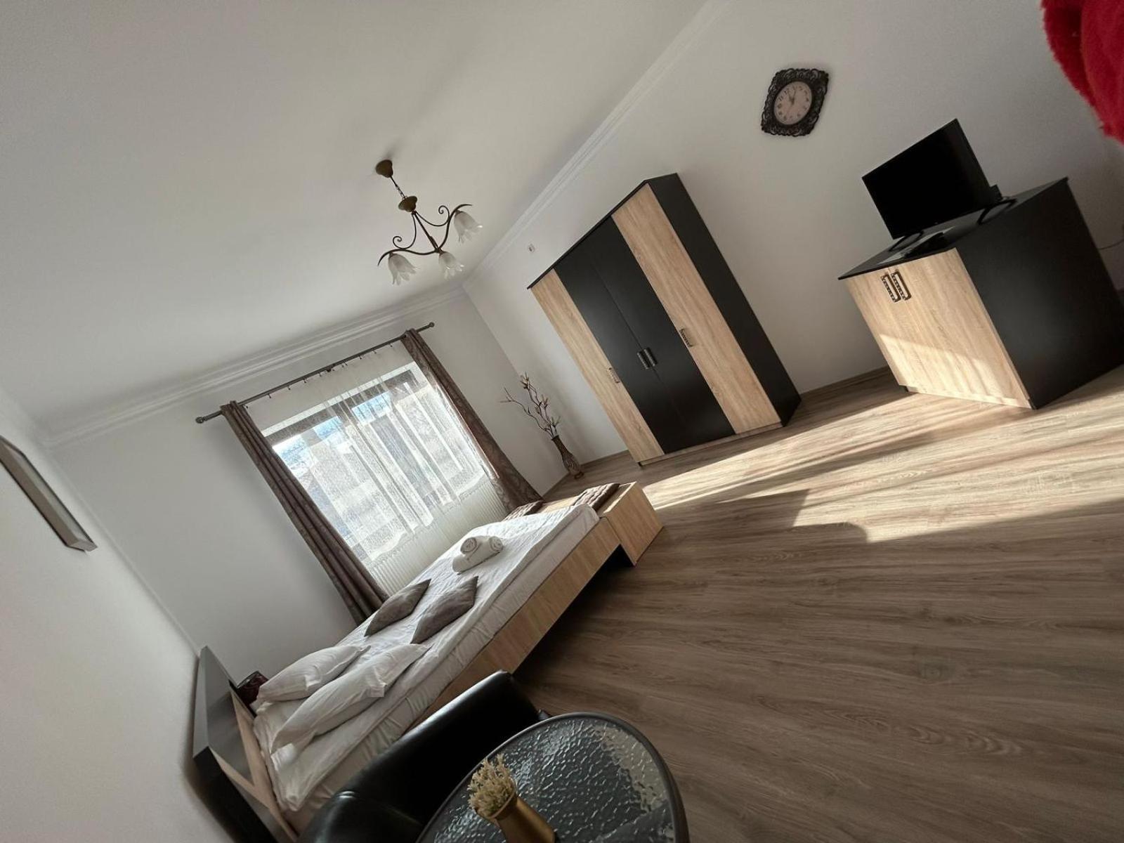 Vila Lion Sebeş Exteriér fotografie