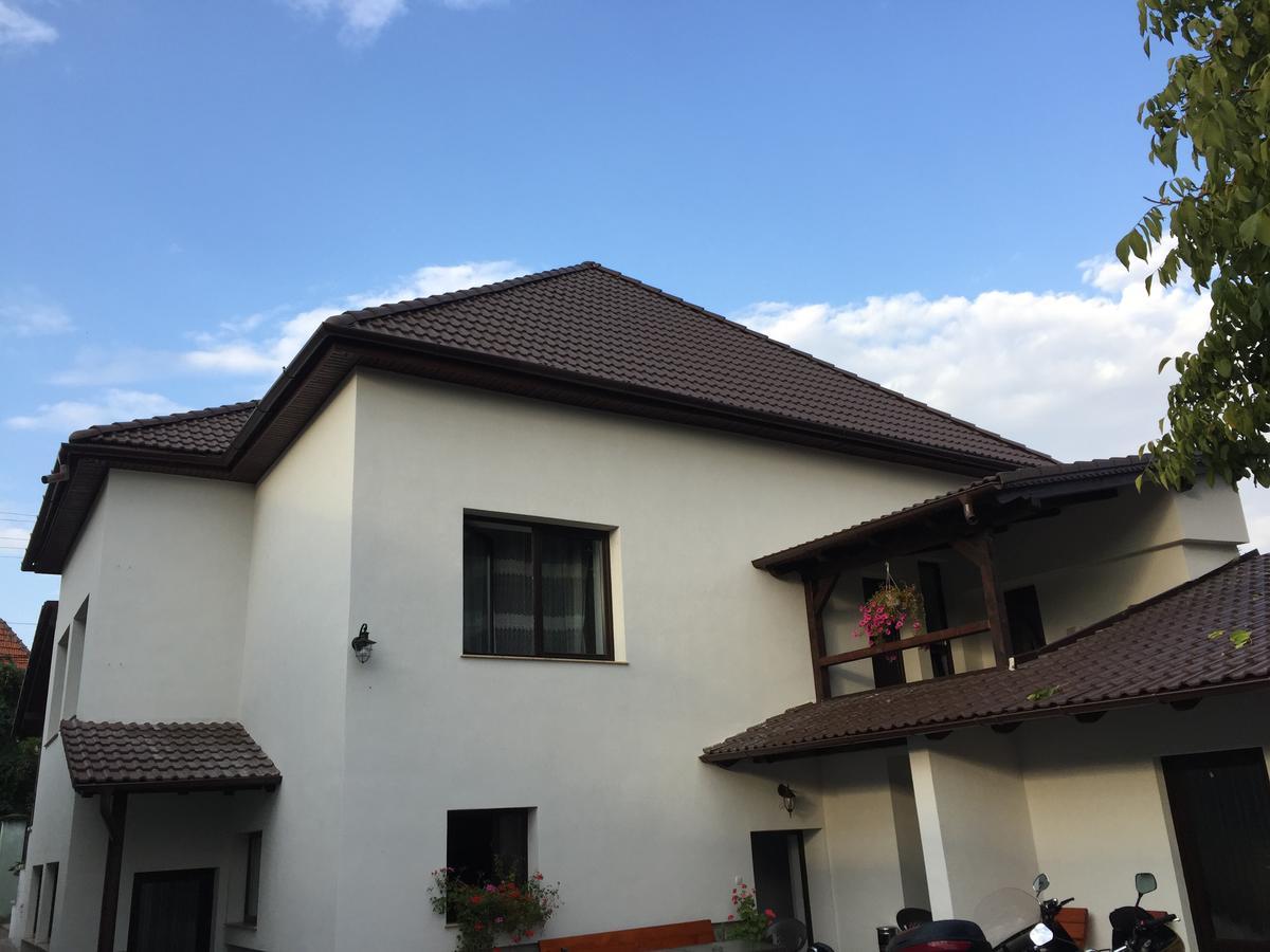 Vila Lion Sebeş Exteriér fotografie