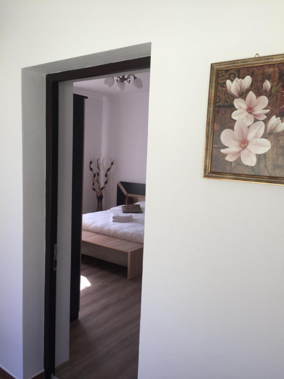 Vila Lion Sebeş Exteriér fotografie