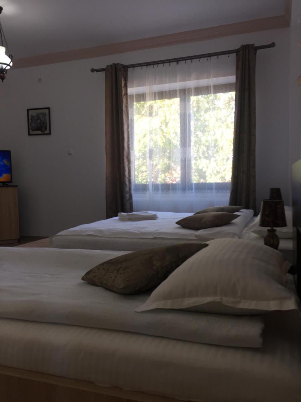 Vila Lion Sebeş Exteriér fotografie