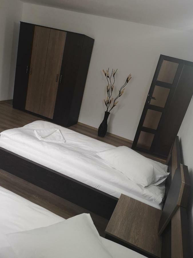Vila Lion Sebeş Exteriér fotografie