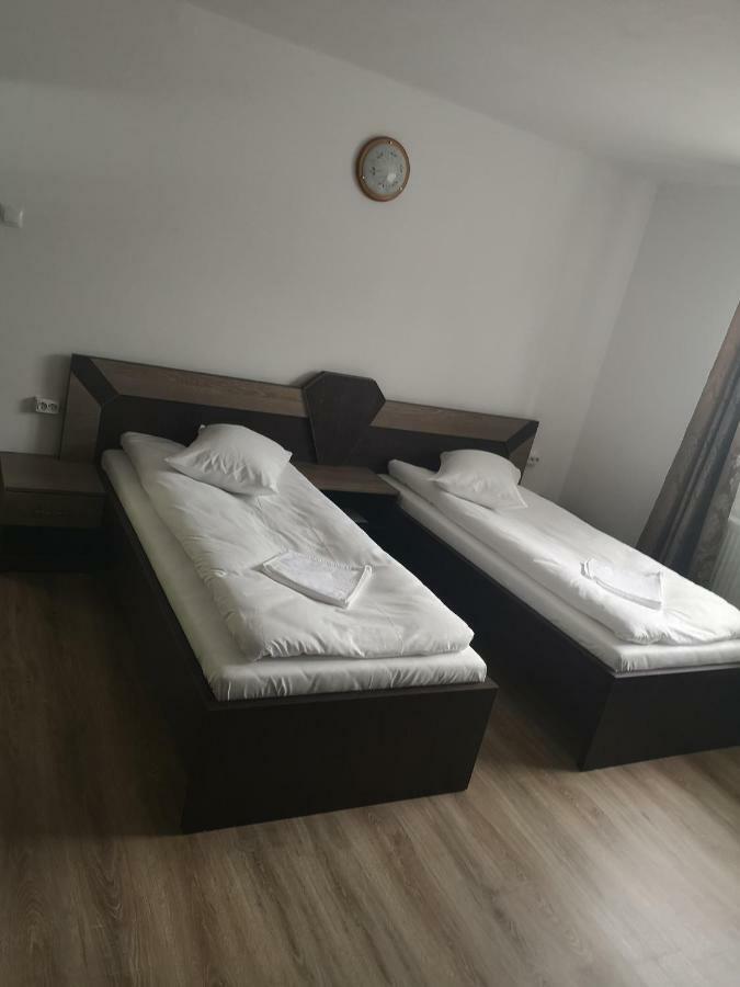 Vila Lion Sebeş Exteriér fotografie