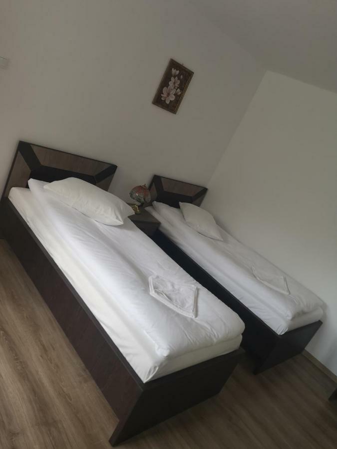 Vila Lion Sebeş Exteriér fotografie
