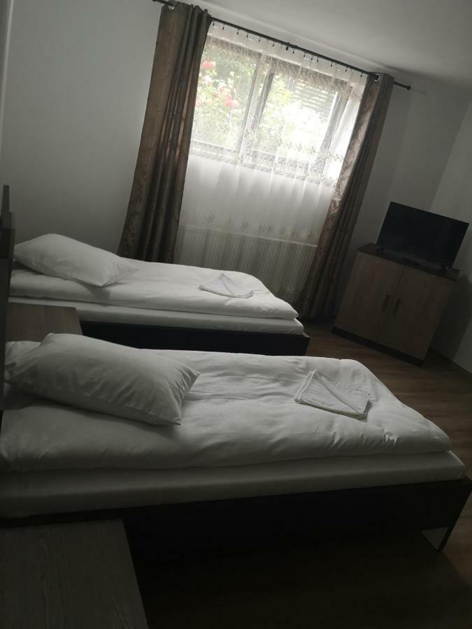 Vila Lion Sebeş Exteriér fotografie