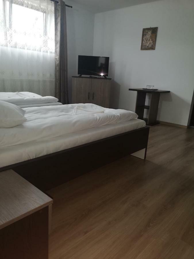 Vila Lion Sebeş Exteriér fotografie