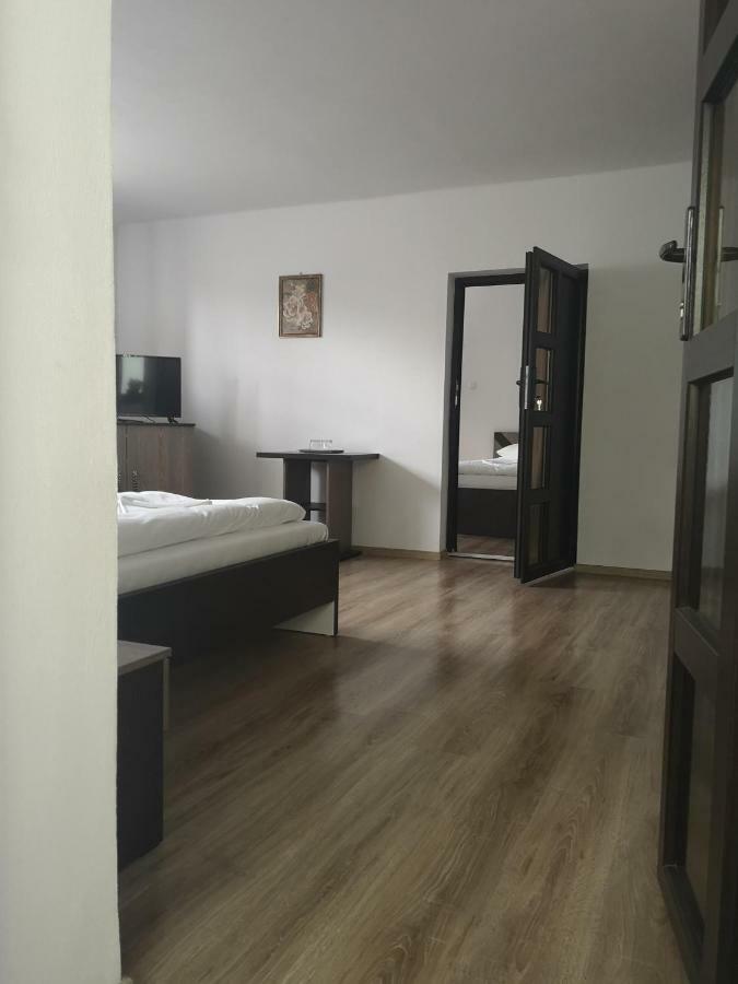 Vila Lion Sebeş Exteriér fotografie