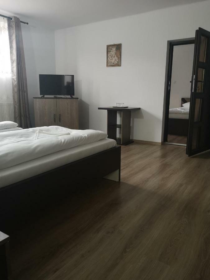 Vila Lion Sebeş Exteriér fotografie
